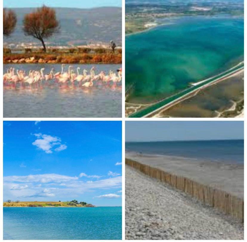 Отель Camping L'Europe Вик-ла-Гардьоль Экстерьер фото